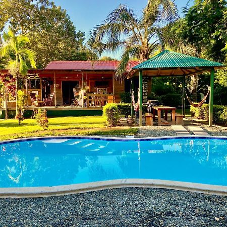 Uvita Oasis Retreat With Villa Cabins And Apartment Eksteriør bilde