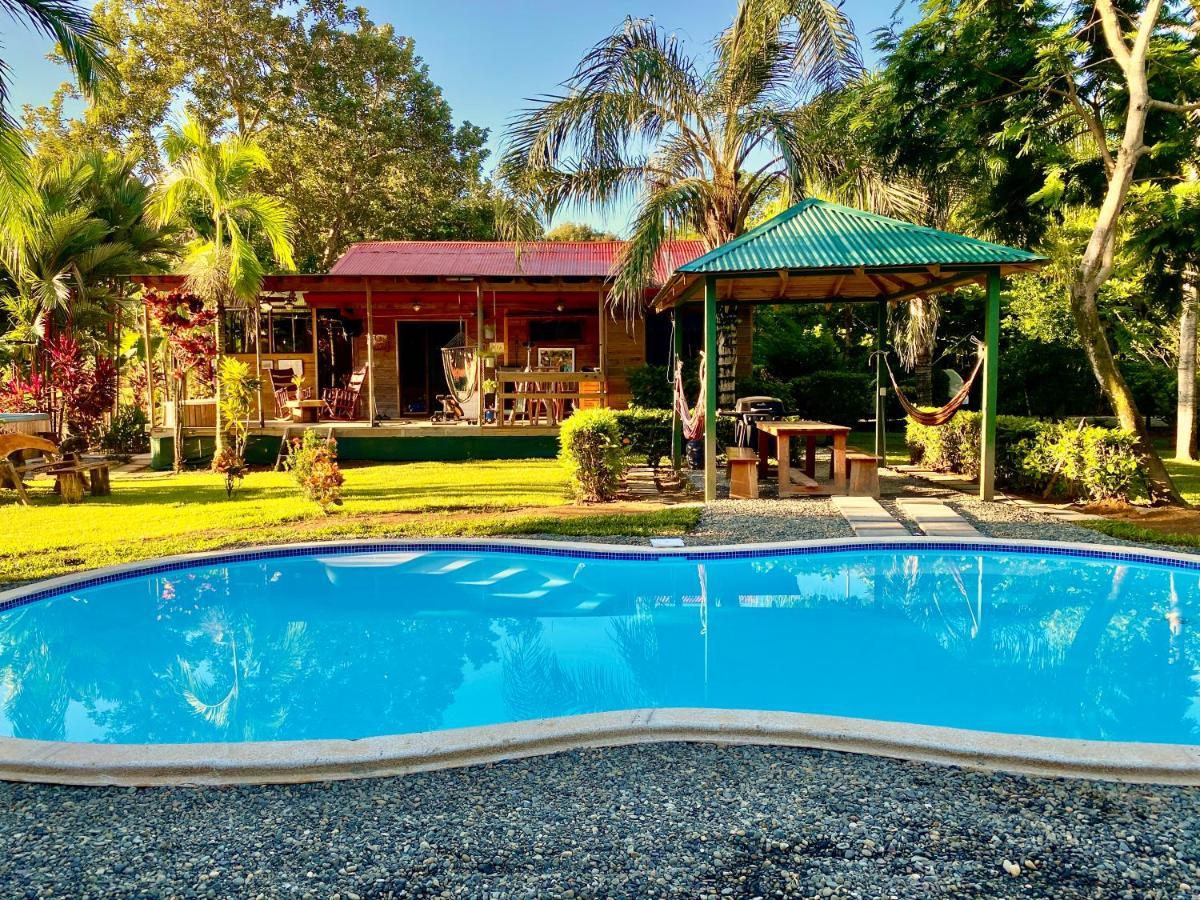 Uvita Oasis Retreat With Villa Cabins And Apartment Eksteriør bilde