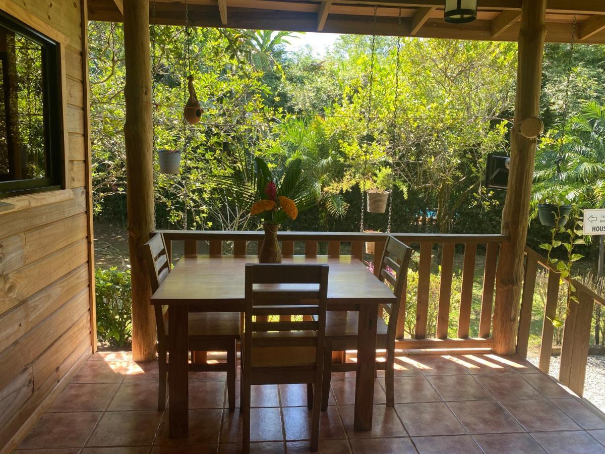 Uvita Oasis Retreat With Villa Cabins And Apartment Eksteriør bilde