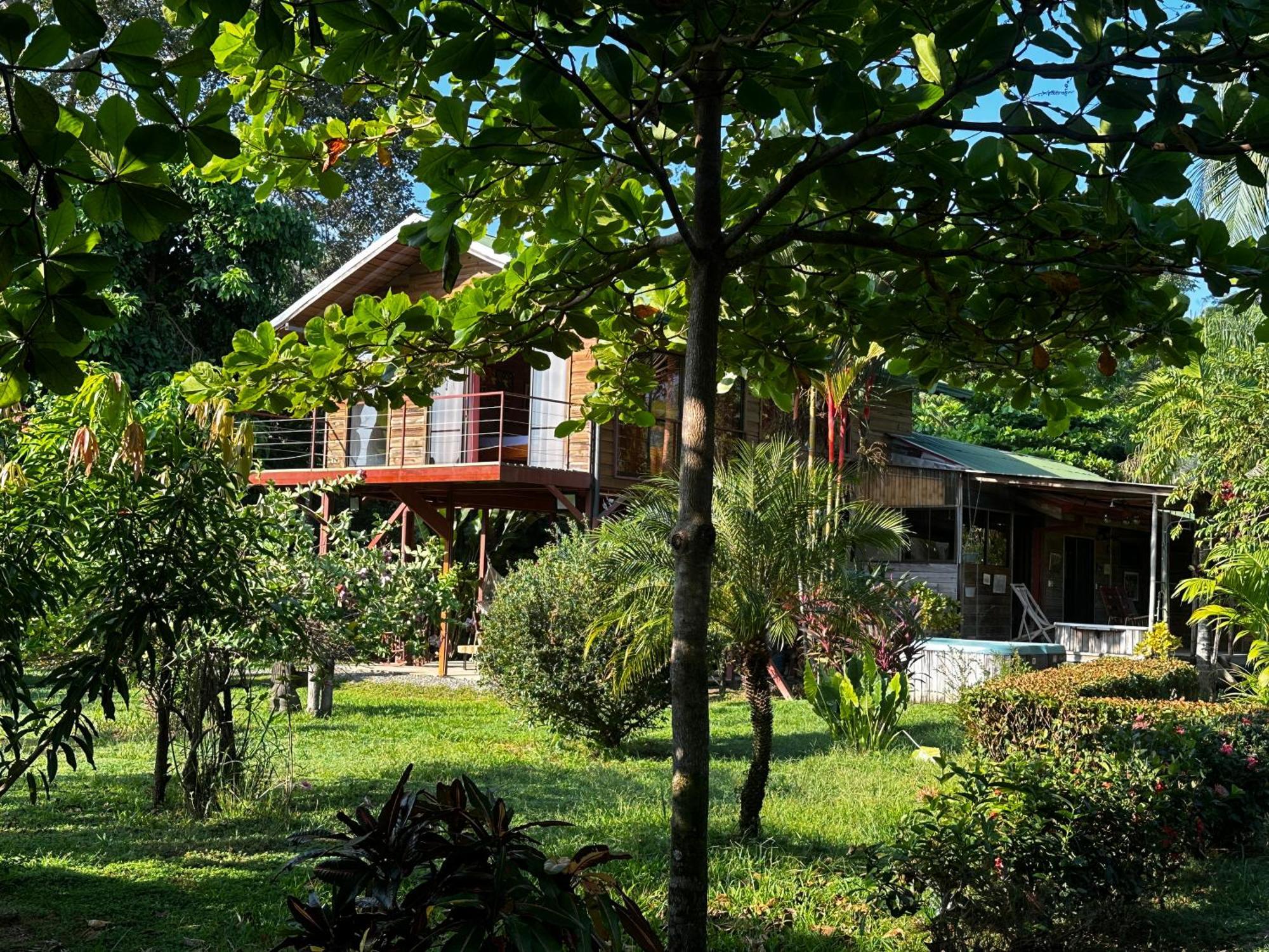 Uvita Oasis Retreat With Villa Cabins And Apartment Eksteriør bilde