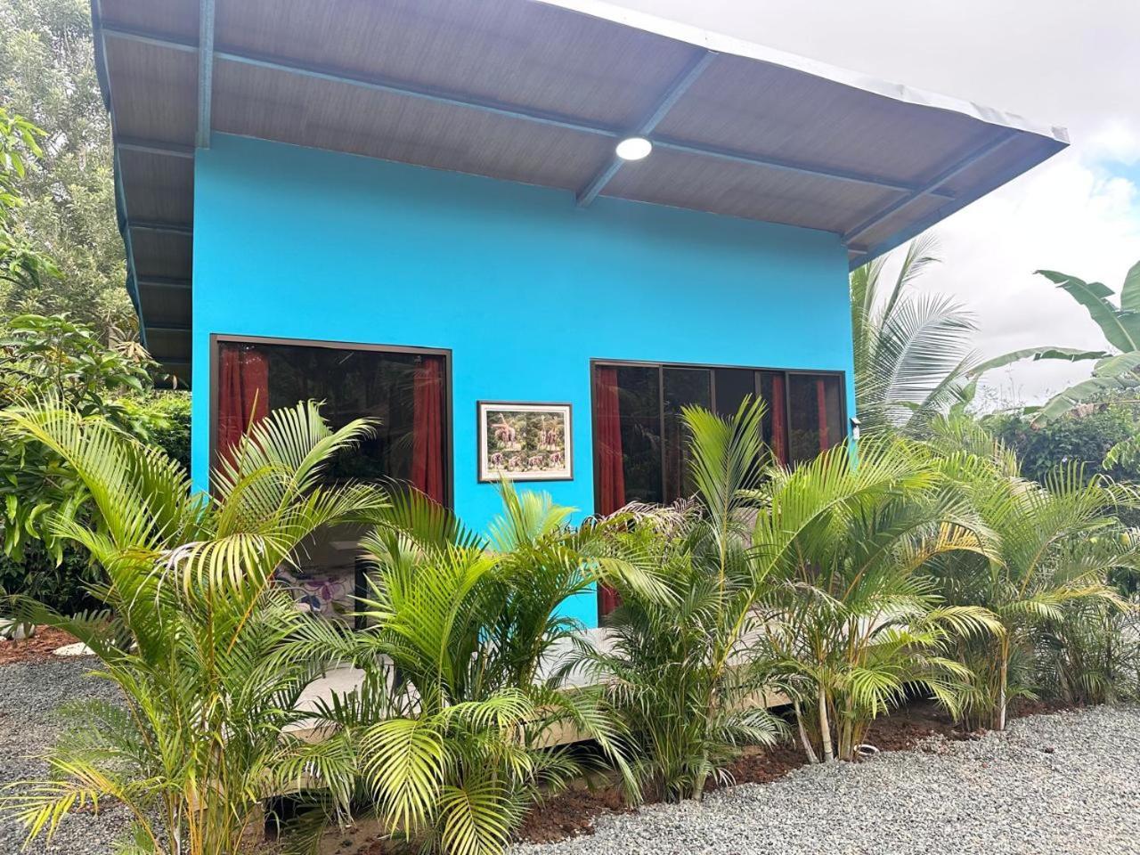 Uvita Oasis Retreat With Villa Cabins And Apartment Eksteriør bilde