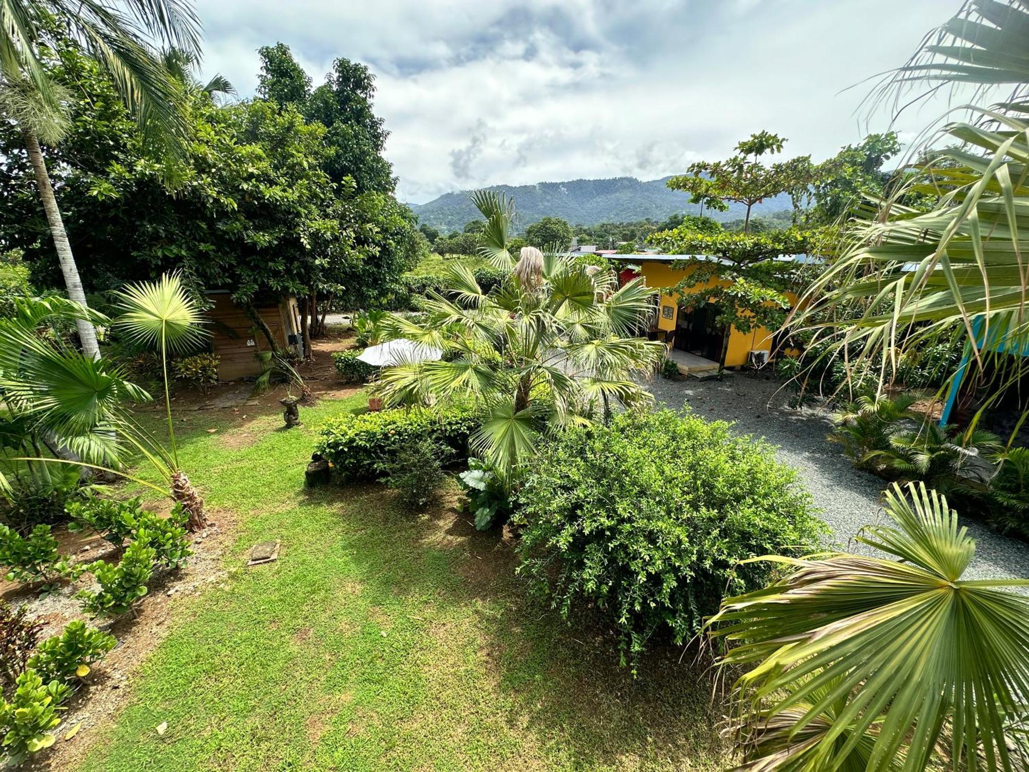 Uvita Oasis Retreat With Villa Cabins And Apartment Eksteriør bilde