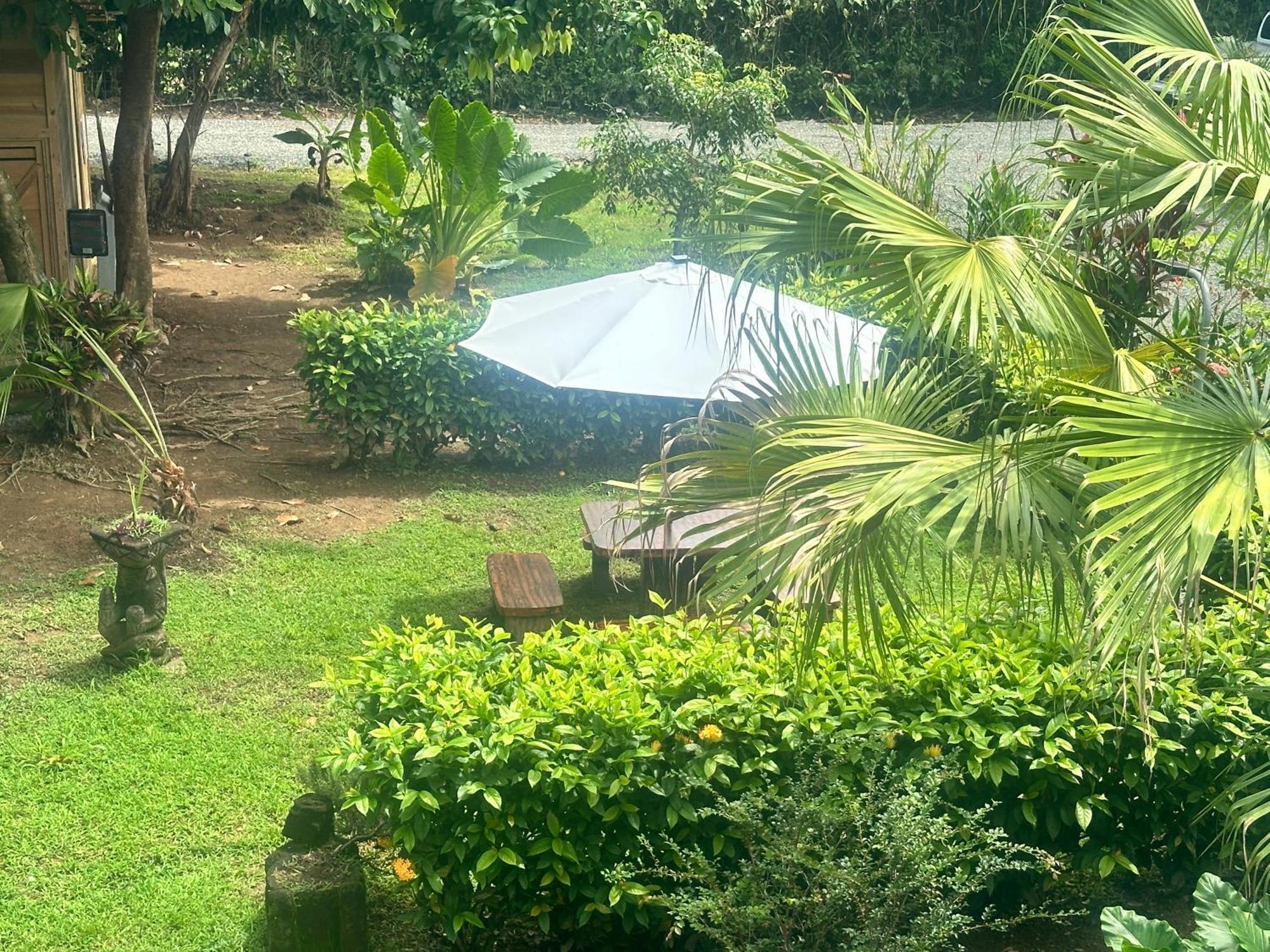 Uvita Oasis Retreat With Villa Cabins And Apartment Eksteriør bilde