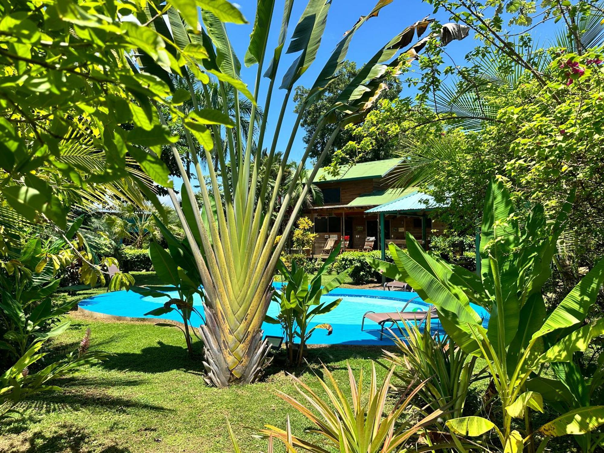 Uvita Oasis Retreat With Villa Cabins And Apartment Eksteriør bilde