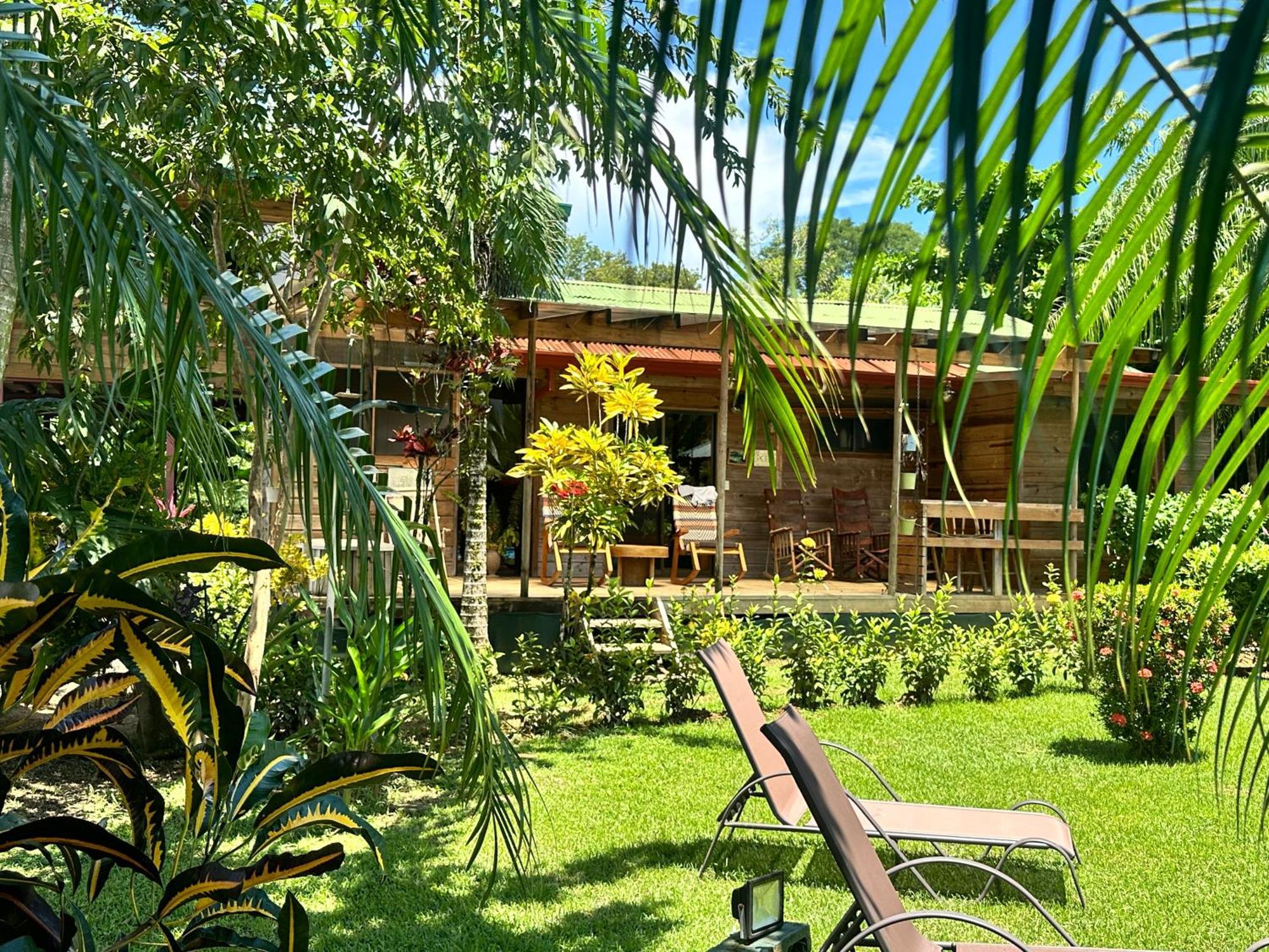 Uvita Oasis Retreat With Villa Cabins And Apartment Eksteriør bilde