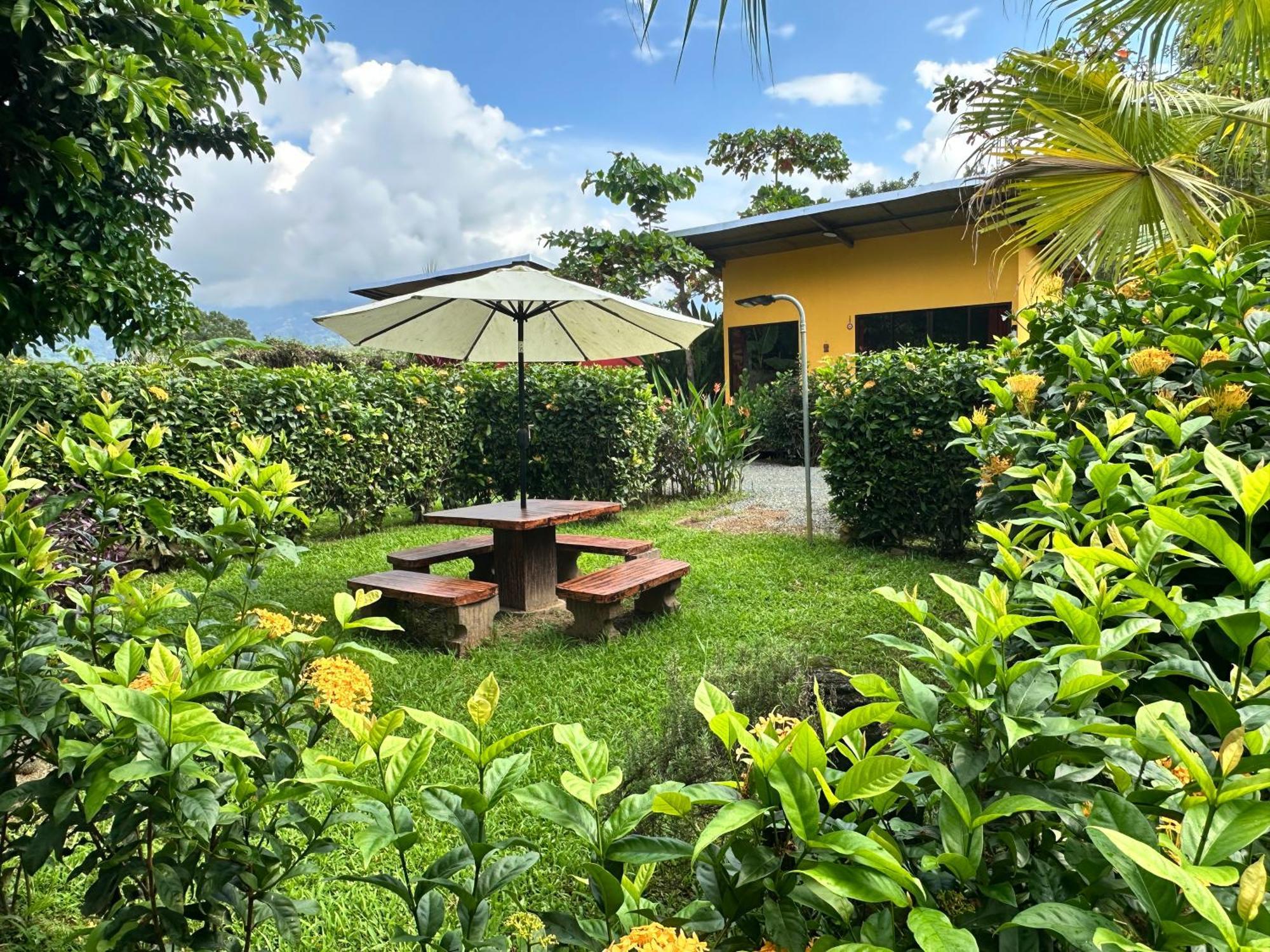 Uvita Oasis Retreat With Villa Cabins And Apartment Eksteriør bilde
