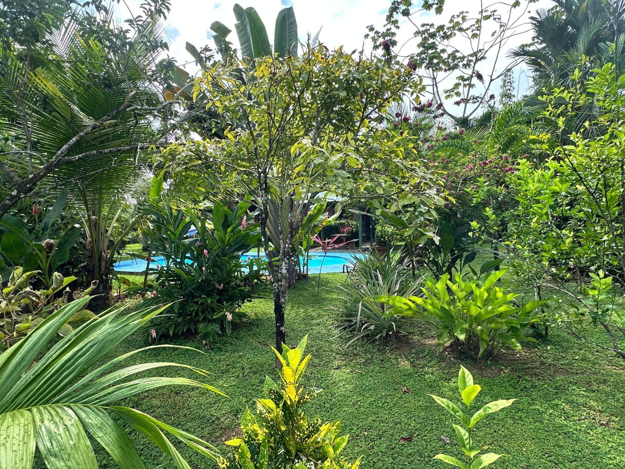 Uvita Oasis Retreat With Villa Cabins And Apartment Eksteriør bilde