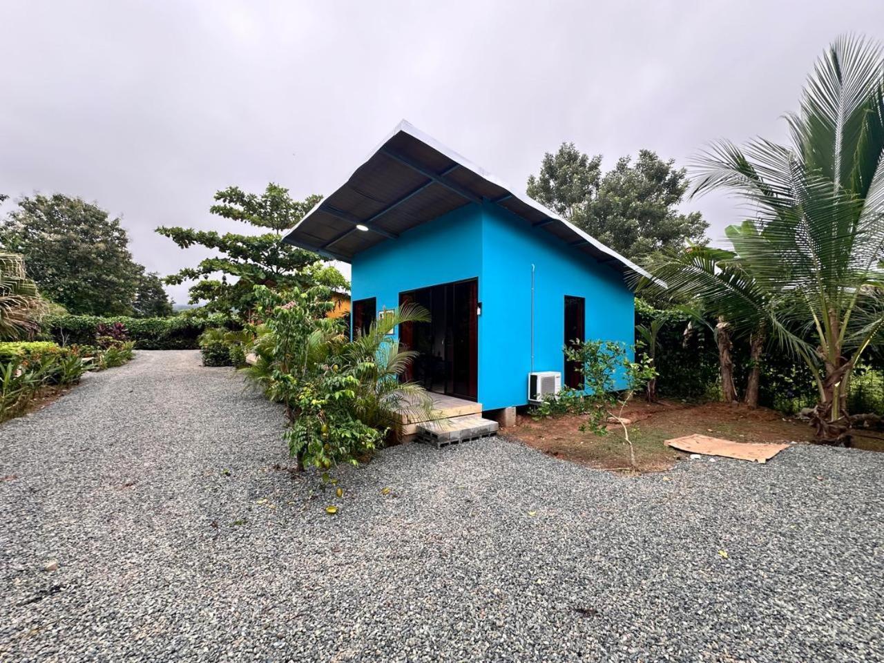 Uvita Oasis Retreat With Villa Cabins And Apartment Eksteriør bilde
