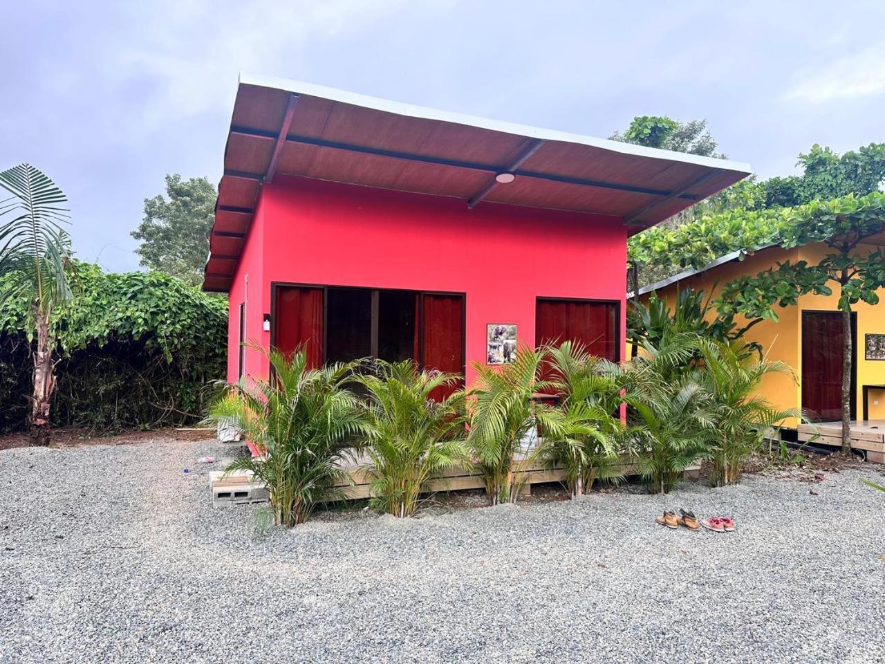Uvita Oasis Retreat With Villa Cabins And Apartment Eksteriør bilde